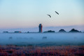 Bildunterschrift: Foto: Constantin Ticu/Nordseeheilbad Borkum GmbH/akz-o