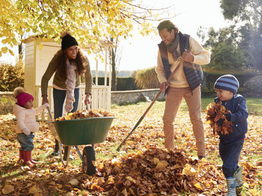 Mit Herbstkraft zum Frühlingsglanz: So wird Ihr Rasen winterfit