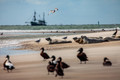 Bildunterschrift: Schöne Aussichten gibt’s auf Borkum überall. Foto: Constantin Ticu/Nordseeheilbad Borkum GmbH/akz-o