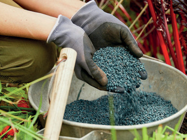 Bio Blaudünger von Compo steckt voller wertvoller organischer, aber auch mineralischer Stoffe – ein Volldünger für alle Gartenpflanzen. Foto: Compo/akz-o