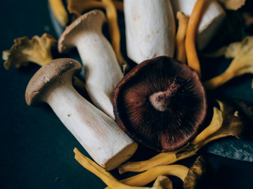 Austernpilze statt Fleisch – Dönerspieß mal anders