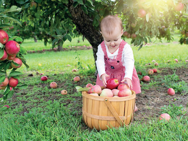 Bäume stärken Kinder: Naturerfahrungen als Schlüssel zur gesunden Entwicklung Bäume stärken Kinder: Naturerfahrungen als Schlüssel zur gesunden Entwicklung
