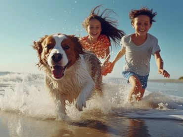 Sommer mit Hund: So wird die Urlaubszeit für Mensch und Tier erholsam