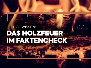 Das Holzfeuer im Faktencheck